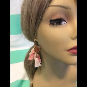 NWOT shades of peach tassel pierced earring.